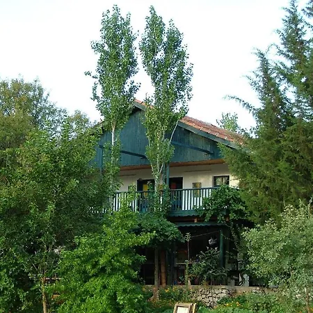 Eco-art Farm Гостевой дом Каш