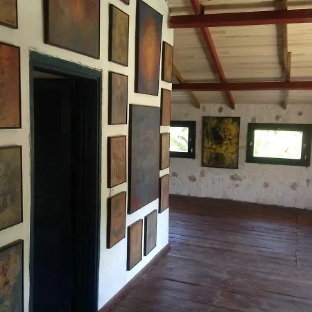 Eco-art Farm 卡斯